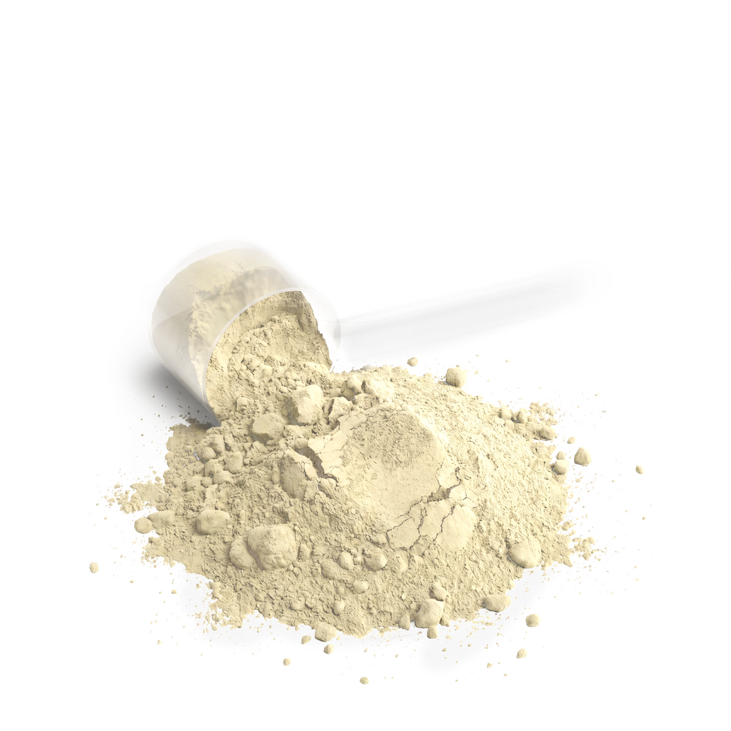 IGN1T3 - Performance Whey Protein Blend - Vanilla