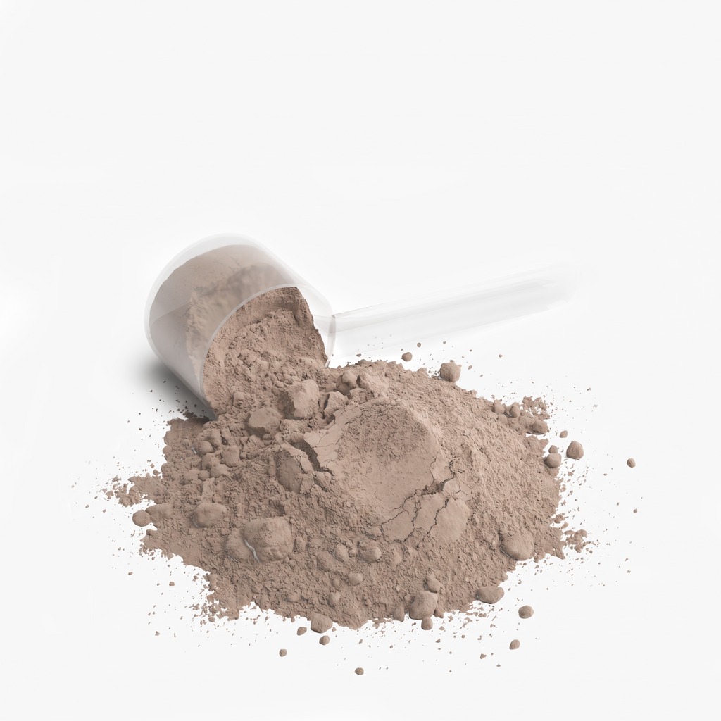 IGN1T3 - Performance Whey Protein Blend - Chocolate