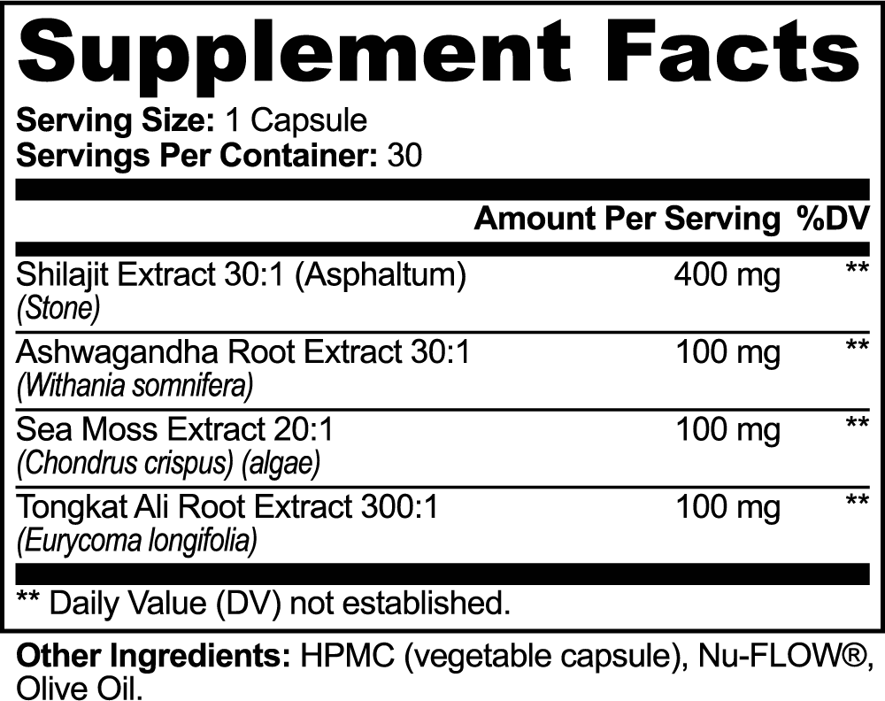 IGN1T3 - Performance - Shilajit Adaptogen - 4in1